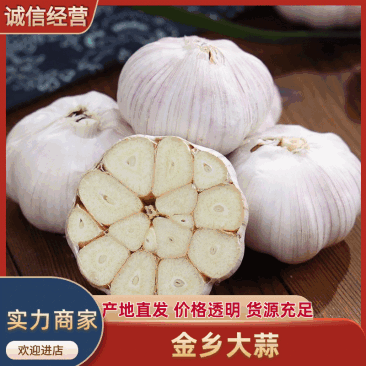 精品新大蒜金乡本地大蒜支持全国发货,可视频欢迎咨询,