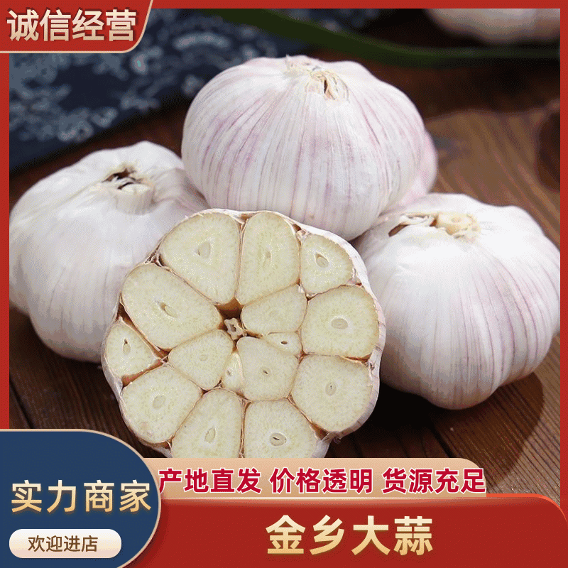 精品新大蒜金乡本地大蒜支持全国发货，可视频欢迎咨询，