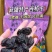 新疆伽师西梅干精品新货源头厂家批发量大质优
