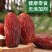 沙特椰枣原色大颗粒精品新疆口岸批发供货量大质优