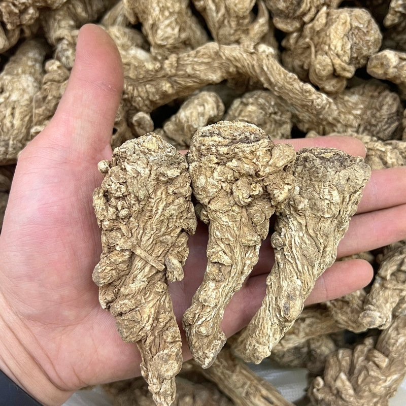 正宗云南丽江当归头500g散装现货批发可切片量大价优当归
