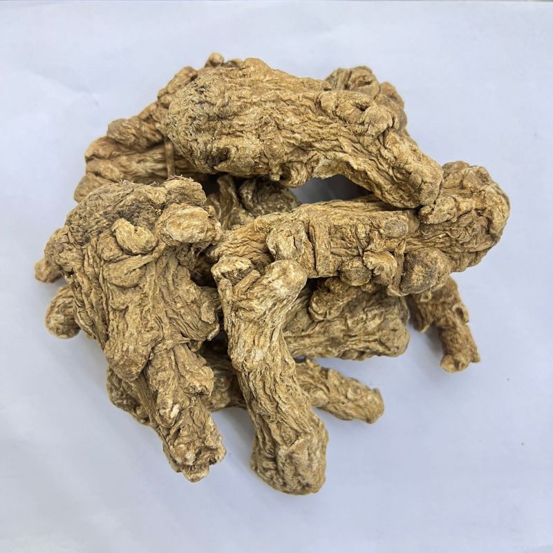 正宗云南丽江当归头500g散装现货批发可切片量大价优当归
