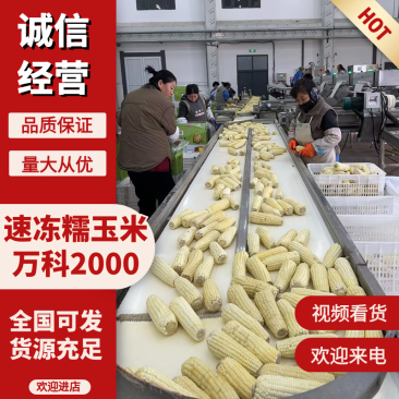速冻糯玉米，万2000品种，品质好，质量保证欢迎致电咨询