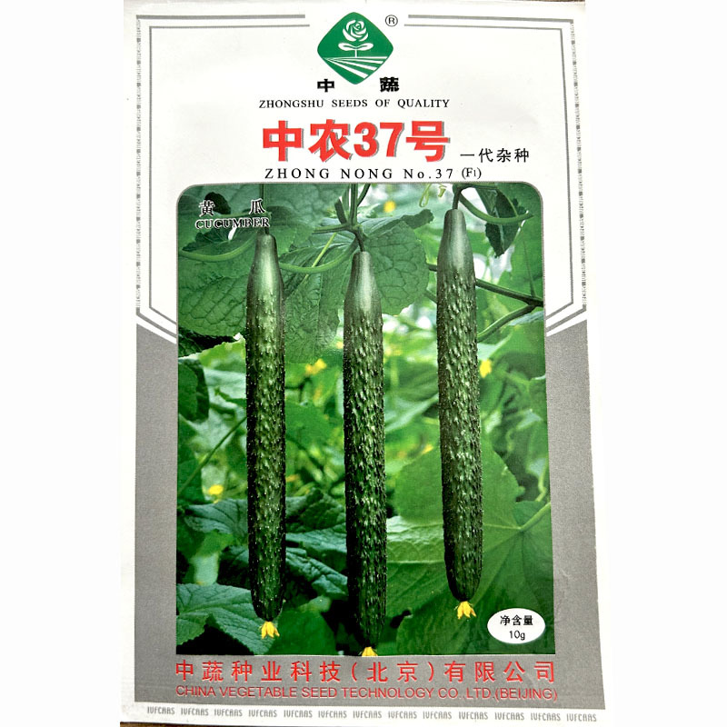 中农37号黄瓜种子越冬大棚温室栽培早熟黄瓜种籽高产耐