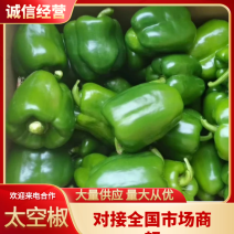 【太空椒鲜辣椒】大量供应，福建漳州发货，量大从优