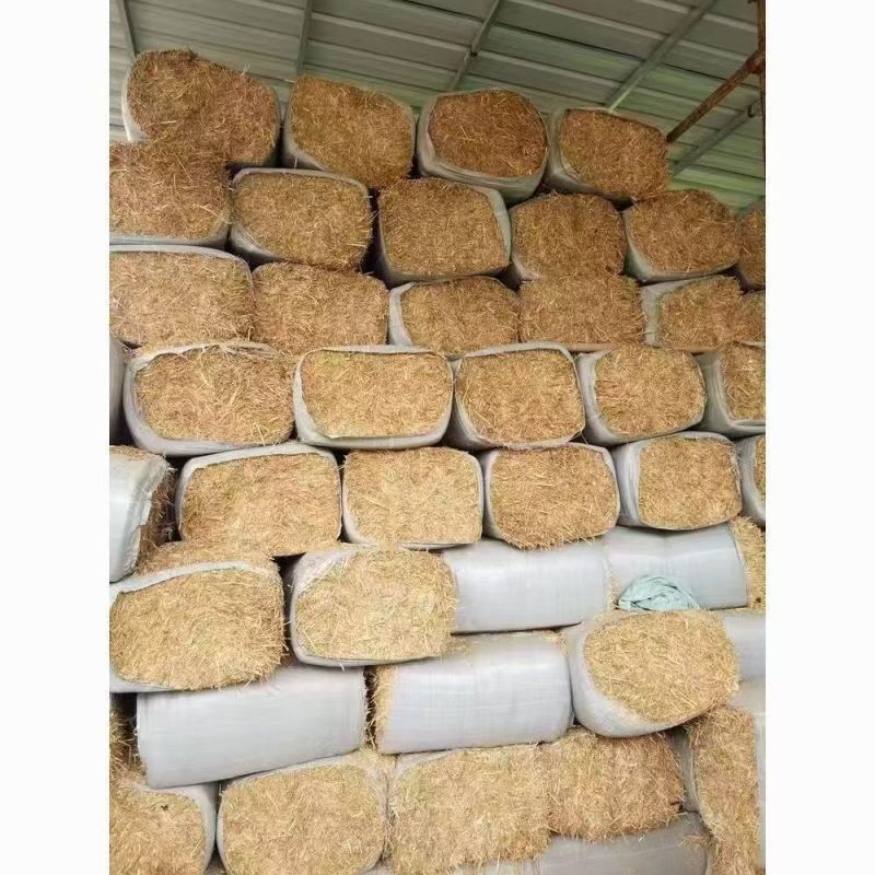 【小麦秸秆】大量供应河南正阳基地直供二次揉丝质地松软