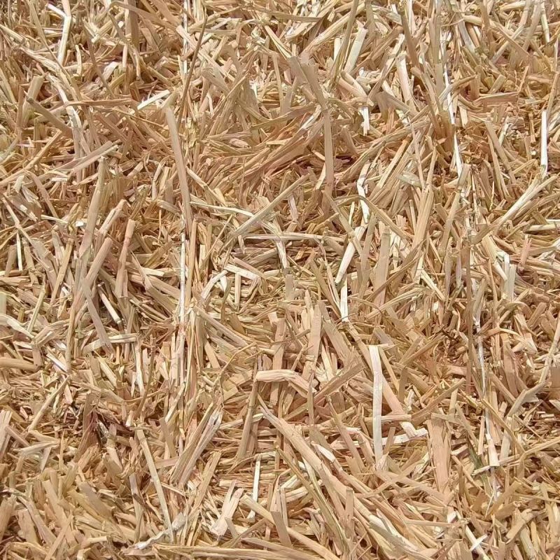 【小麦秸秆】大量供应河南正阳基地直供二次揉丝质地松软