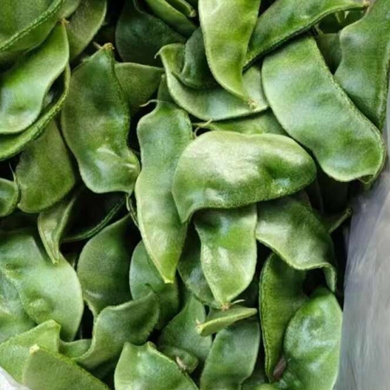 大肉绿扁豆种子猪耳朵籽白色光滑脆嫩品质佳采收期长蔬菜种子