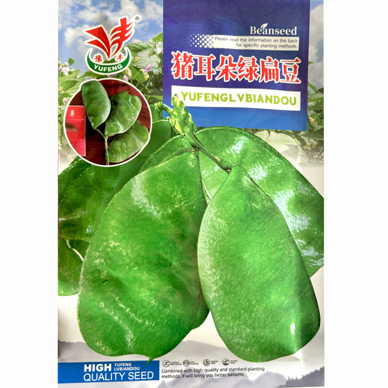 大肉绿扁豆种子猪耳朵扁豆种子种籽南方四季豆角梅豆角