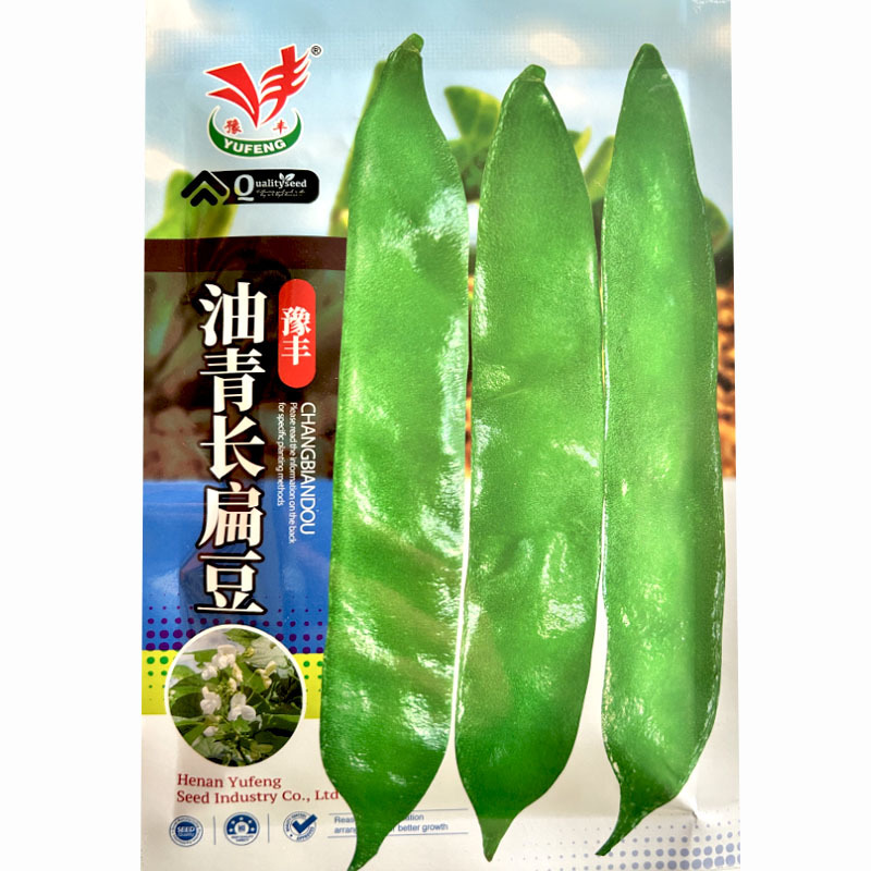 油青长扁豆种子蔓生坐果能力强白花嫩荚翠绿肉厚扁豆种子
