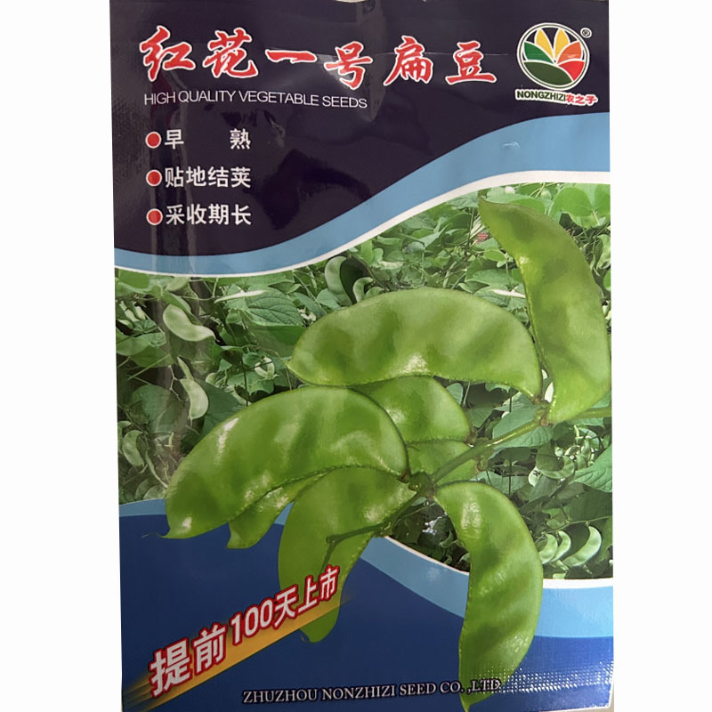 红花一号扁豆种子早生扁豆早熟贴地结荚春秋种植