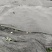湖南金钩藤苗基地供货苗子根系发达易成活量大从优电联