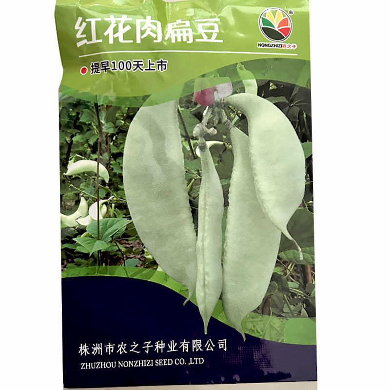 红花肉扁豆种子早熟爬藤春夏秋四季高产