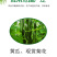 细炭停27%春雷溴菌腈黄瓜菊花细菌性角斑病炭疽病正品农