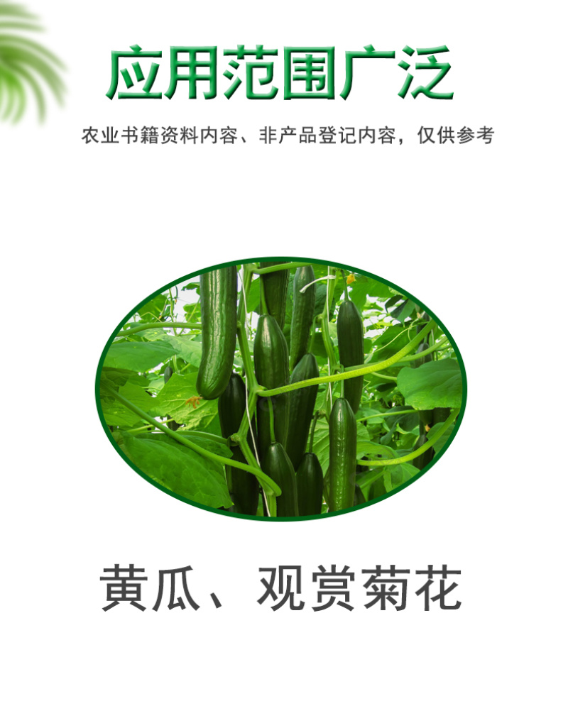 细炭停27%春雷溴菌腈黄瓜菊花细菌性角斑病炭疽病正品农
