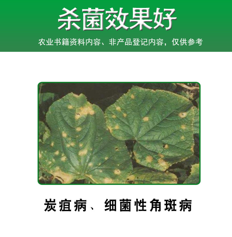 细炭停27%春雷溴菌腈黄瓜菊花细菌性角斑病炭疽病正品农