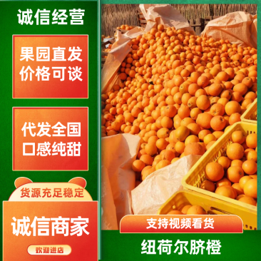 脐橙广西桂林市兴安县纽荷尔脐橙口感好，皮薄汁多化渣