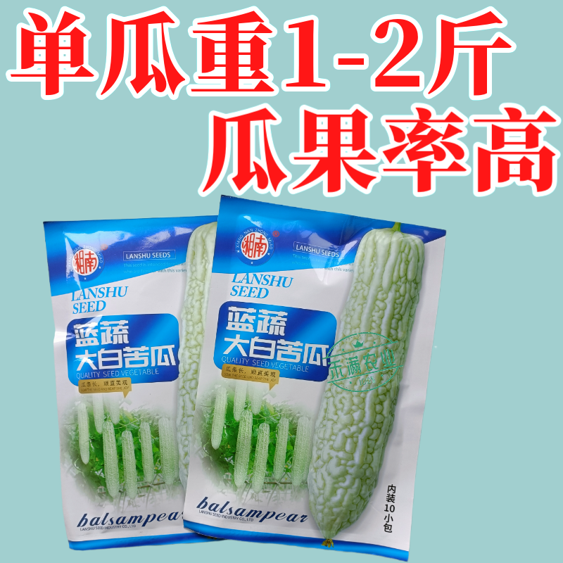 蓝蔬大白苦瓜种子50克大包装基地高产抗病耐寒耐热四季