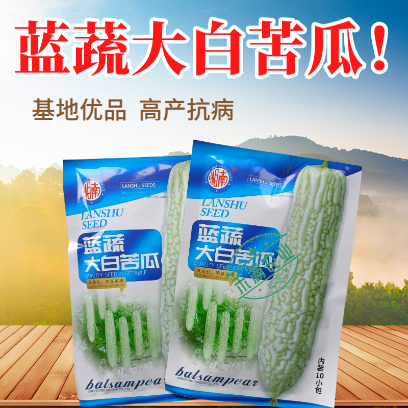 蓝蔬大白苦瓜种子50克大包装基地高产抗病耐寒耐热四季