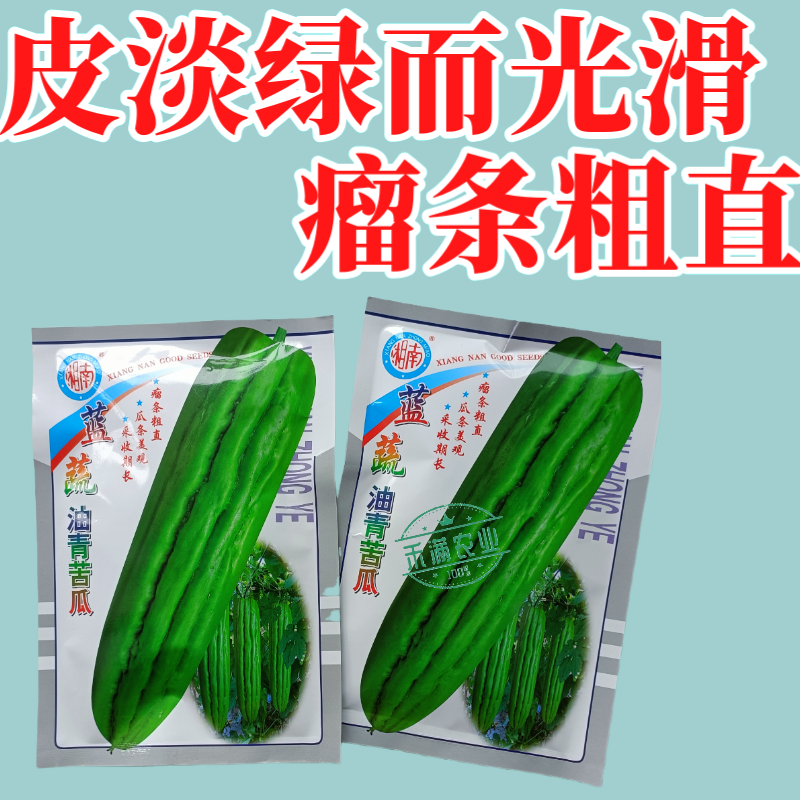 蓝蔬油青苦瓜种子50克大包装耐热耐寒多肉苦瓜种籽翠玉绿色