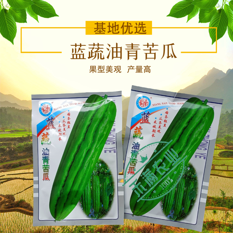 蓝蔬油青苦瓜种子50克大包装耐热耐寒多肉苦瓜种籽翠玉绿色