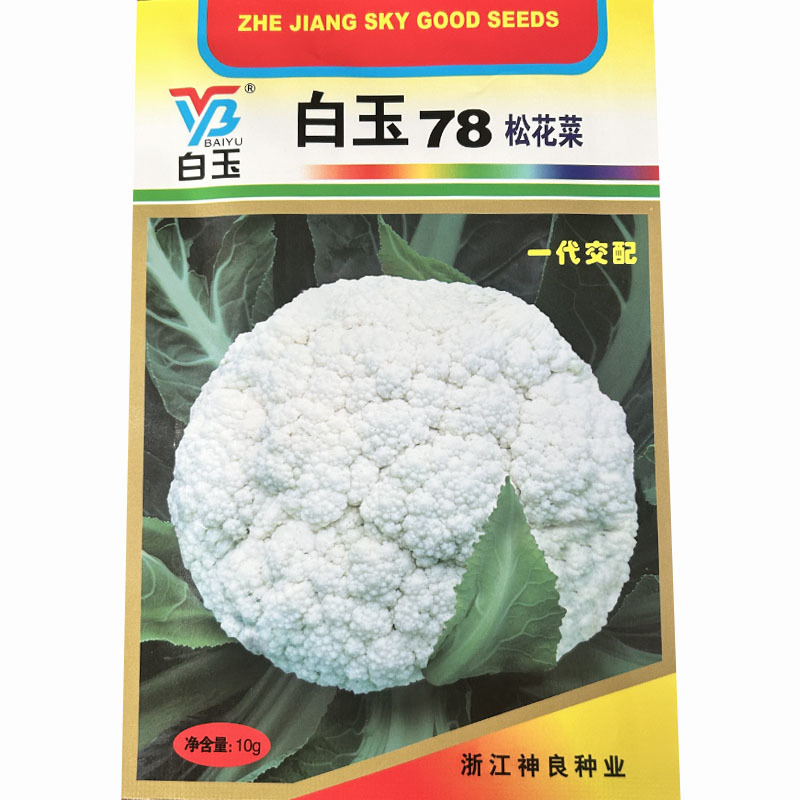 白玉78松花菜种子细米花型青梗球面雪白春秋种植