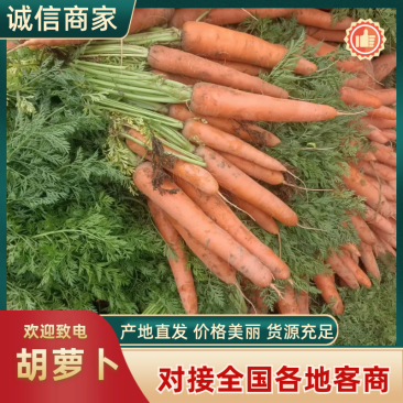 三红胡萝卜开封胡萝卜带土水洗产地直发实力代办全国发货