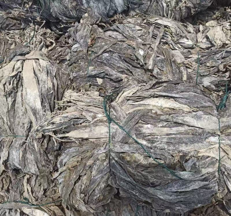 福建南日岛海带又长又黑***海带无沙挂菜货源稳定量大的来