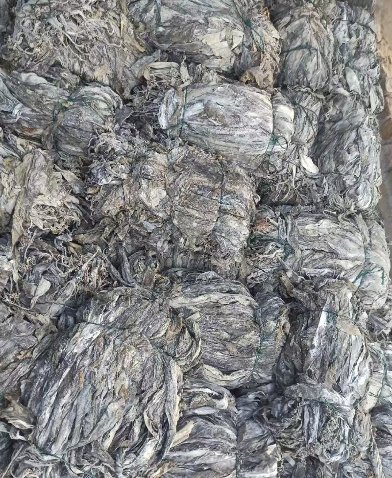 福建南日岛海带又长又黑***海带无沙挂菜货源稳定量大的来