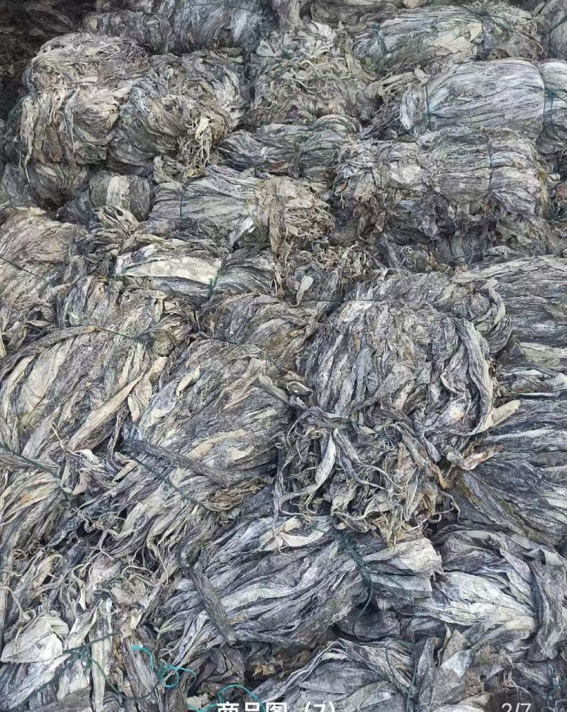 福建南日岛海带又长又黑***海带无沙挂菜货源稳定量大的来