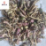 款冬花，新货质量好，