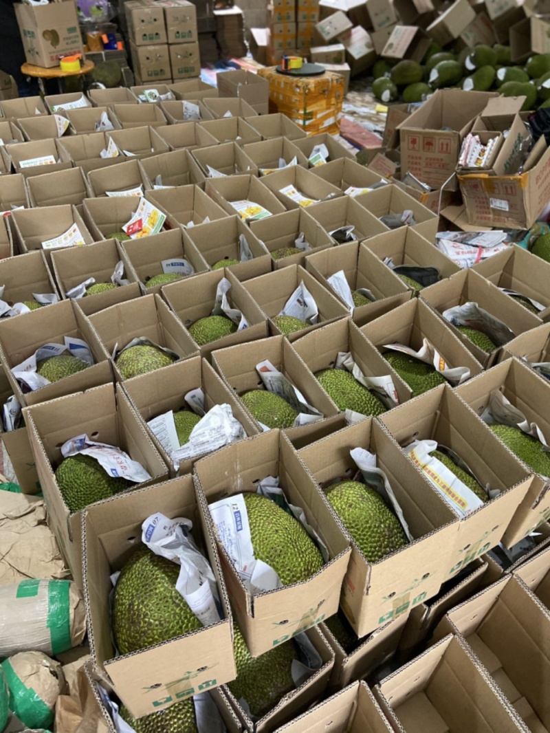 海南红肉菠萝蜜一件代发产地直发一手货源对接各大电商平台