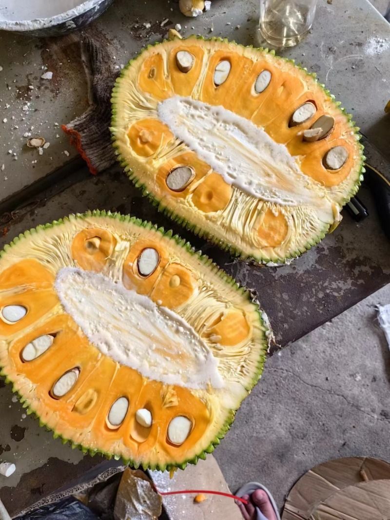 海南红肉菠萝蜜一件代发产地直发一手货源对接各大电商平台