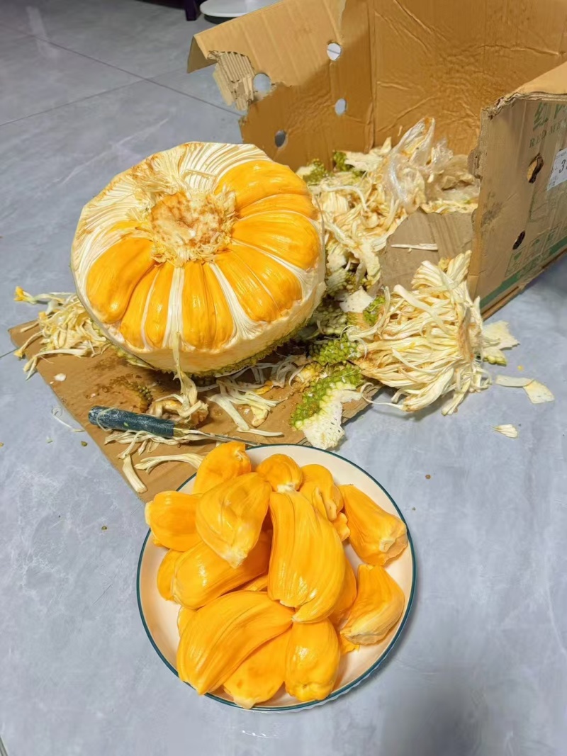 海南红肉菠萝蜜一件代发产地直发一手货源对接各大电商平台