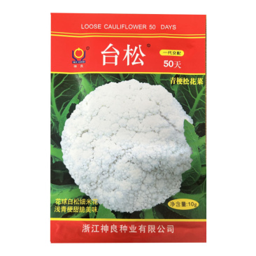 神良台松50天青梗松花菜种子早熟耐热抗病基地品种