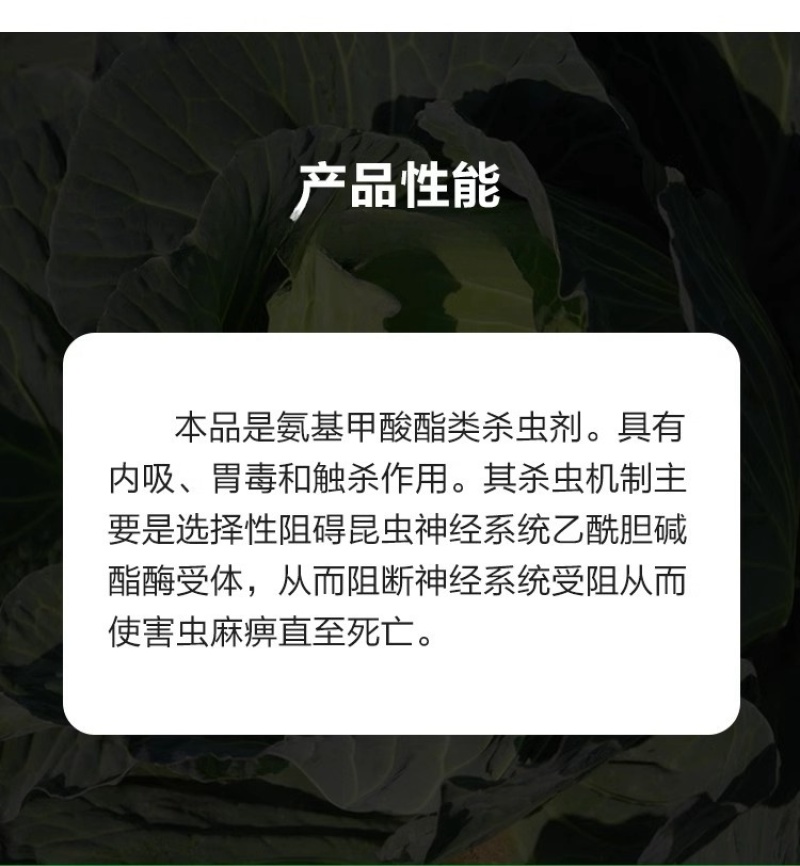 百农思达70%高浓度吡虫啉正品农用甘蓝蚜虫杀虫剂现货包邮