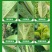 百农思达70%高浓度吡虫啉正品农用甘蓝蚜虫杀虫剂现货包邮