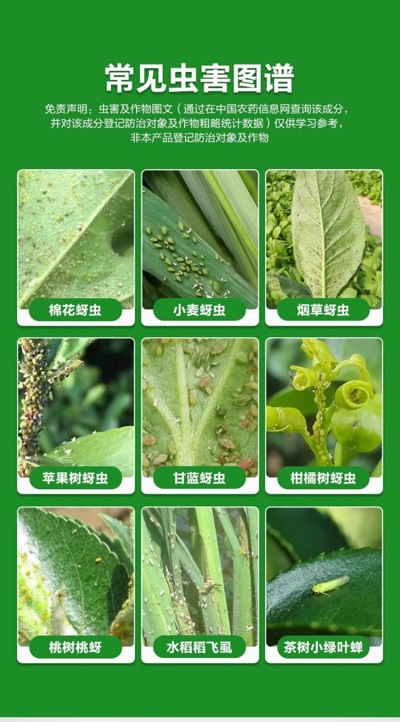 百农思达70%高浓度吡虫啉正品农用甘蓝蚜虫杀虫剂现货包邮