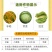 百农思达5.7%甲氨基阿维菌素苯甲酸盐甘蓝小菜蛾杀虫剂正