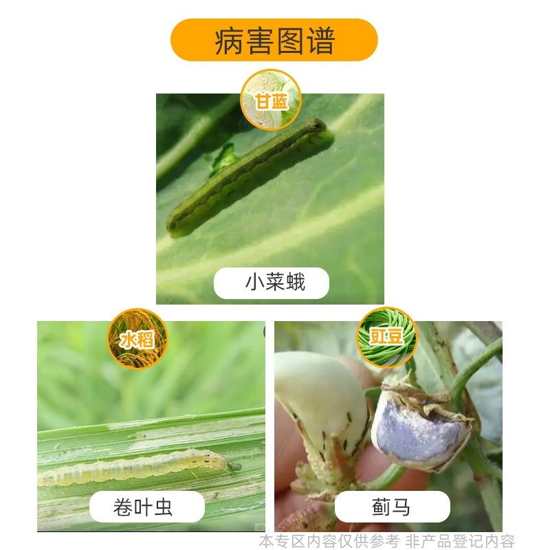 百农思达5.7%甲氨基阿维菌素苯甲酸盐甘蓝小菜蛾杀虫剂正