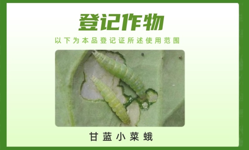 百农思达5.7%甲氨基阿维菌素苯甲酸盐甘蓝小菜蛾杀虫剂正