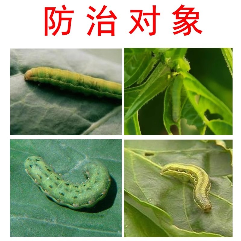 正品百农思达3.2%含量甲维盐氯氰甘蓝甜菜夜蛾农用杀虫剂