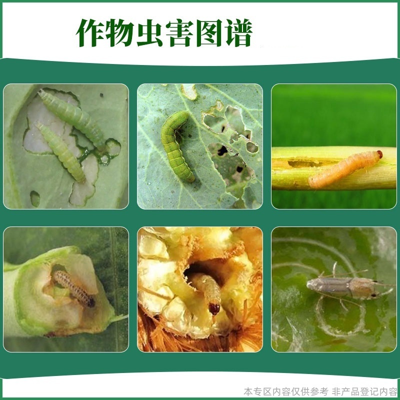 百农思达11.8%高含量甲维·虫螨腈甘蓝甜菜夜蛾菜青虫杀