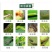 百农思达11.8%高含量甲维·虫螨腈甘蓝甜菜夜蛾菜青虫杀