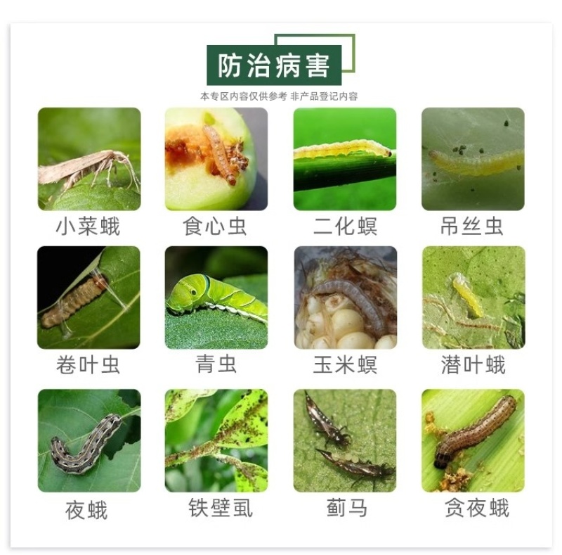 百农思达11.8%高含量甲维·虫螨腈甘蓝甜菜夜蛾菜青虫杀
