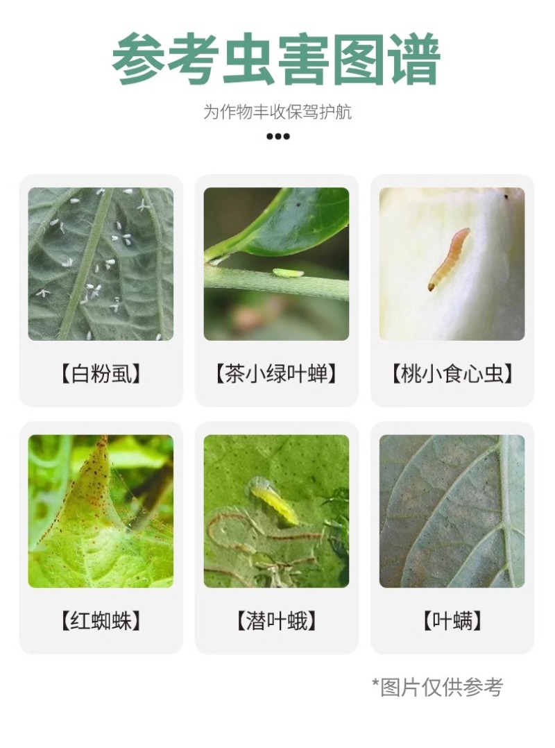 百农思达2.5%联苯菊酯水乳剂番茄白粉虱农药杀虫剂正品可