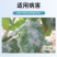 百农思达50%高含量福美双农用黄瓜白粉病可湿性粉剂袋装杀