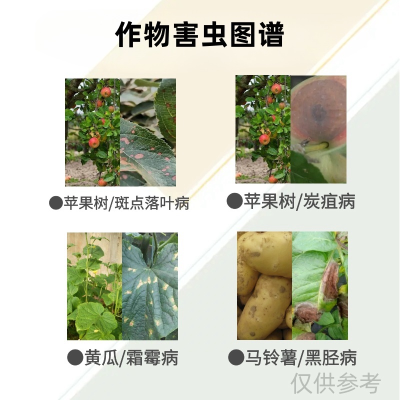 60%高含量唑醚代森联农用芥蓝青花菜霜霉病杀菌剂正品百农