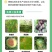 60%高含量唑醚代森联农用芥蓝青花菜霜霉病杀菌剂正品百农