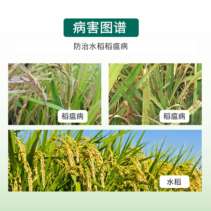 6%春雷霉素杀菌剂正品百农思达农用水稻稻瘟病白菜黑腐病